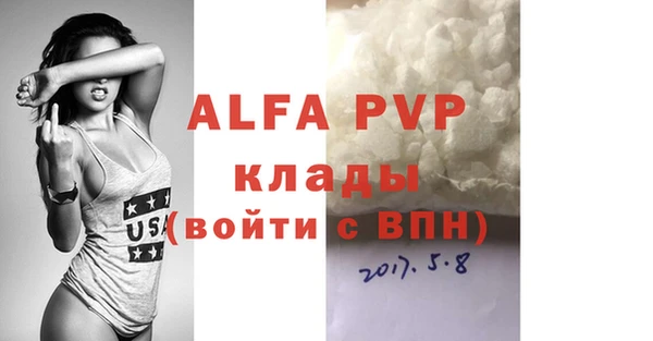 прущие грибы Кодинск