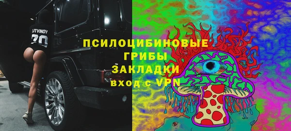 прущие грибы Кодинск