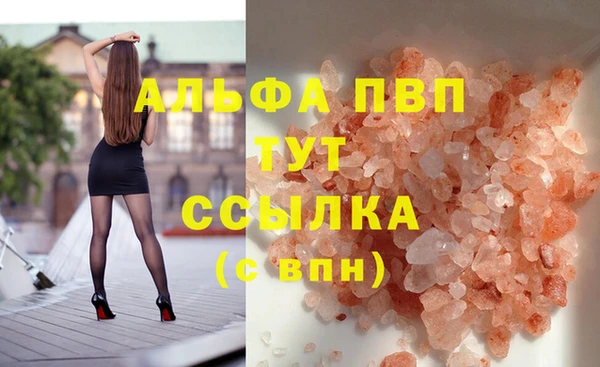 прущие грибы Кодинск