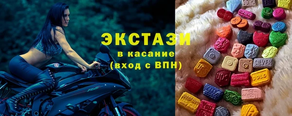 индика Козловка