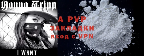 индика Козловка