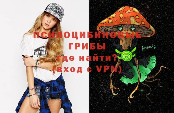индика Козловка