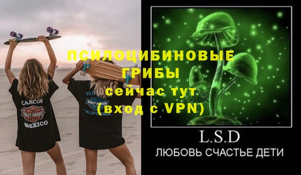индика Козловка