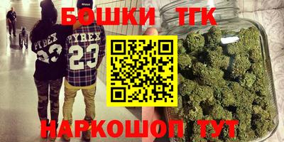 молекула духа Будённовск